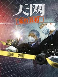 免费在线观看完整版大陆剧《天网：案件真相》