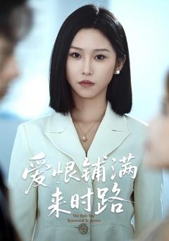 免费在线观看《爱恨铺满来时路》