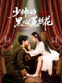 免费在线观看《少帅的黑心菟丝花》