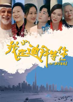 免费在线观看完整版大陆剧《我在迪拜等你》
