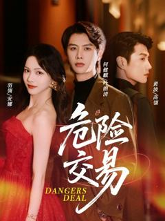 免费在线观看《危险交易》