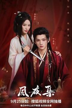 免费在线观看完整版大陆剧《夙夜集》