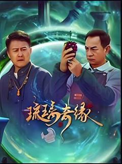 免费在线观看完整版大陆剧《琉璃奇缘》