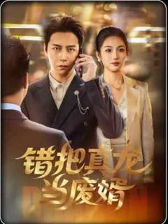 免费在线观看《错把真龙当废婿》