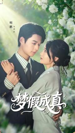 免费在线观看《梦假成真》