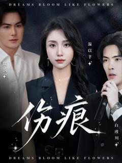 免费在线观看《伤痕》