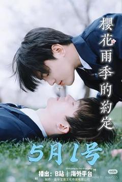 免费在线观看完整版大陆剧《樱花雨季的约定》