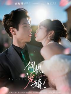 免费在线观看《伺机宠婚》