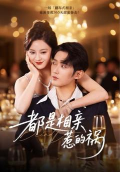 免费在线观看《都是相亲惹的祸》