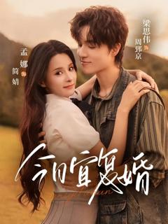 免费在线观看《今日宜复婚》