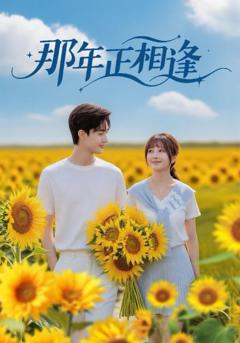 免费在线观看《那年正相逢》