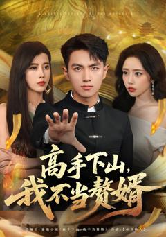 免费在线观看《高手下山我不当赘婿》