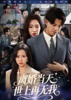 免费在线观看《离婚当天世上再无我》