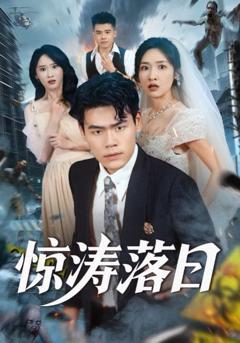 免费在线观看《惊涛落日》