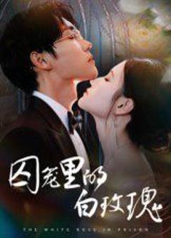 免费在线观看《囚笼里的白玫瑰》