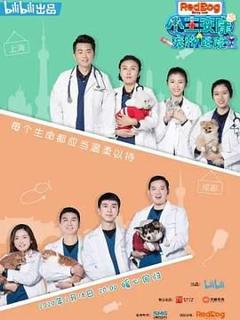 免费在线观看《小主安康－宠物医院2》