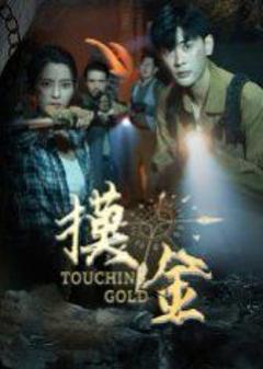 免费在线观看《摸金》