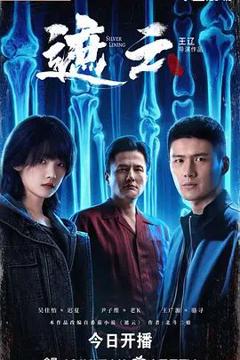 免费在线观看完整版大陆剧《遮云》