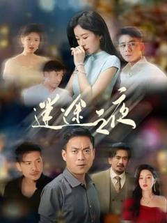 免费在线观看完整版大陆剧《迷途之夜》