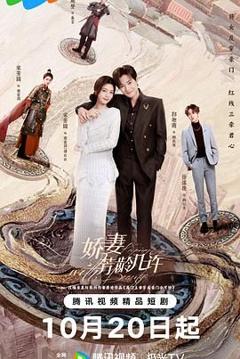 免费在线观看完整版大陆剧《娇妻芳龄几许》