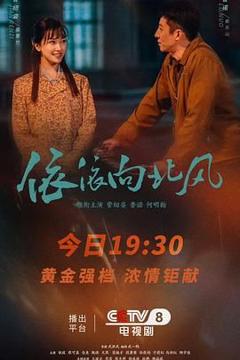 免费在线观看完整版大陆剧《依依向北风》