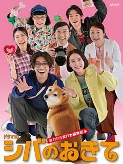 免费在线观看完整版日剧《柴犬的规矩我们这群狗痴编辑部》