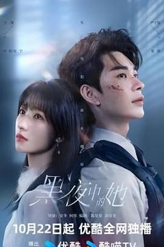免费在线观看完整版大陆剧《黑夜中的她》