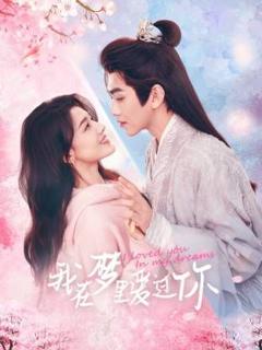 免费在线观看完整版大陆剧《我在梦里爱过你》