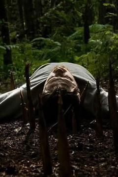 免费在线观看《竹子复仇》