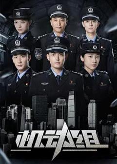 免费在线观看完整版大陆剧《机动组第一季》