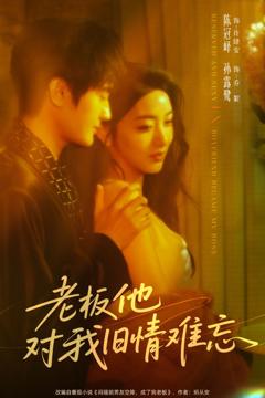 免费在线观看《老板他对我旧情难忘》