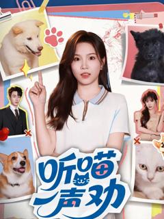 免费在线观看《听喵一声劝》