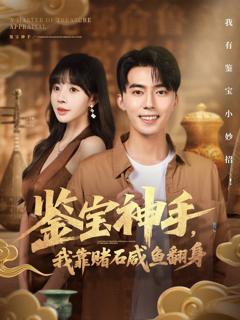 免费在线观看《鉴宝神手，我靠赌石咸鱼翻身》