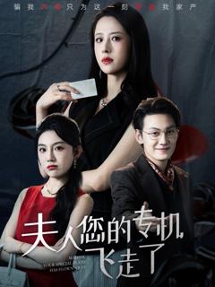 免费在线观看《夫人您的专机飞走了》