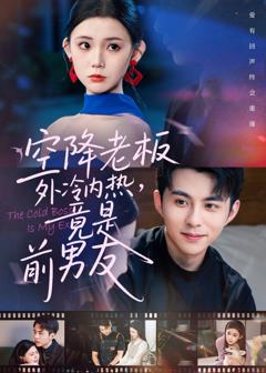 免费在线观看《空降老板外冷内热，竟是前男友》