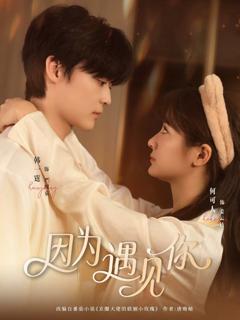 免费在线观看《因为遇见你》