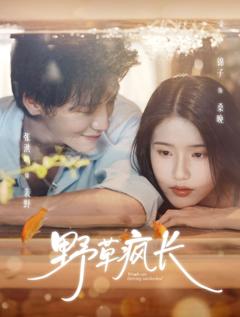 免费在线观看《野草疯长》