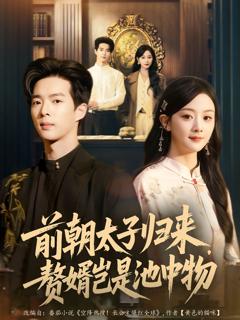 免费在线观看《前朝太子归来，赘婿岂是池中物》
