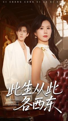 免费在线观看《此生从此各西东》