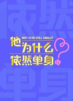 免费在线观看完整版大陆剧《他为什么依然单身》