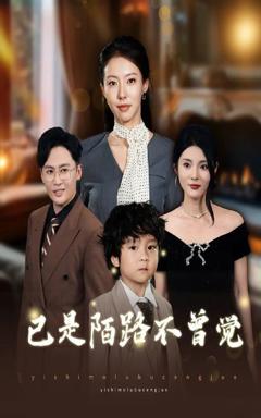 免费在线观看《已是陌路不曾觉》