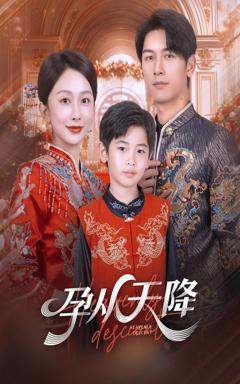 免费在线观看《孕从天降》