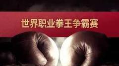 免费在线观看《世界职业拳王争霸赛》