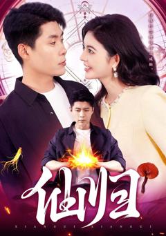 免费在线观看《仙归》