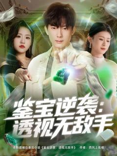 免费在线观看《鉴宝逆袭透视无敌手》
