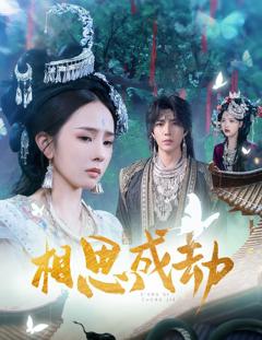 免费在线观看《相思成劫》