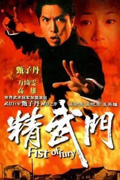 免费在线观看完整版港澳剧《精武门1995》