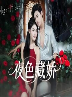 免费在线观看《夜色藏娇》