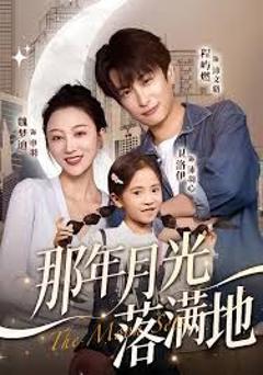 那年月光落满地