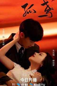 免费在线观看完整版电视剧《孤鸢》